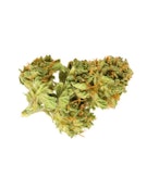JEAN GUY - 28 GRAMS