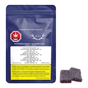 Real Fruit Elderberry CBN:THC Gummies - Wyld - 8