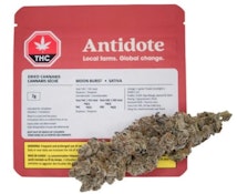 KOOTS CANNA - MOON BURST - 7 GRAM