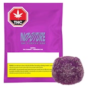 The Purple One Sativa THC Gummy - No Future - 10