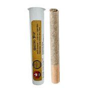 ORGANIC GASTRO POP LTO | 1 x 0.5g