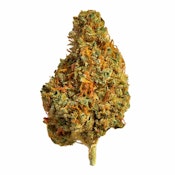 Queen of the Carnival 7g Dried Flower