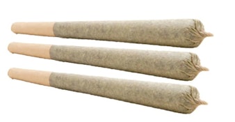 JACK HERER PRE-ROLLS - 1.5