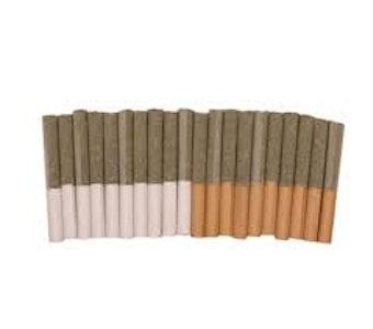 TRYGG - TRYGG Block Party - Dawn To Dusk Pre Rolls