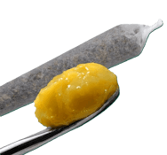 BARBARA BUD LIVE ROSIN INFUSED PR | GREAT GARDENER FARMS | 1x 1g