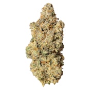 Blanh Sativa 14g Dried Flower