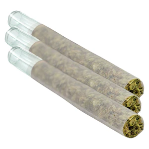 Puffer's Paradise - Puffer's Paradise - Honah Lee Haze Glass Tip 3x0.5g Pre-Rolls // - Honah Lee Haze Glass Tip 3x0.5g Pre-Rolls