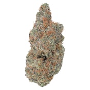 Strawberry Gary - Coterie - Sativa - Dried Flower 7g