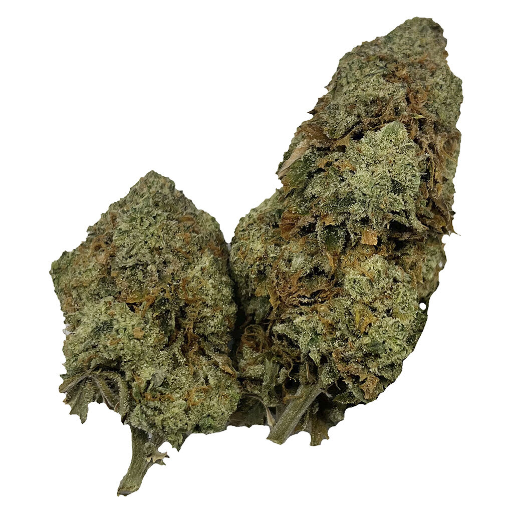 Puffer's Paradise - Honah Lee Haze 7g Dried Flower