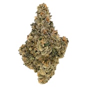 Amani Craft Cannabis (Rockstar) 7g Dried Flower
