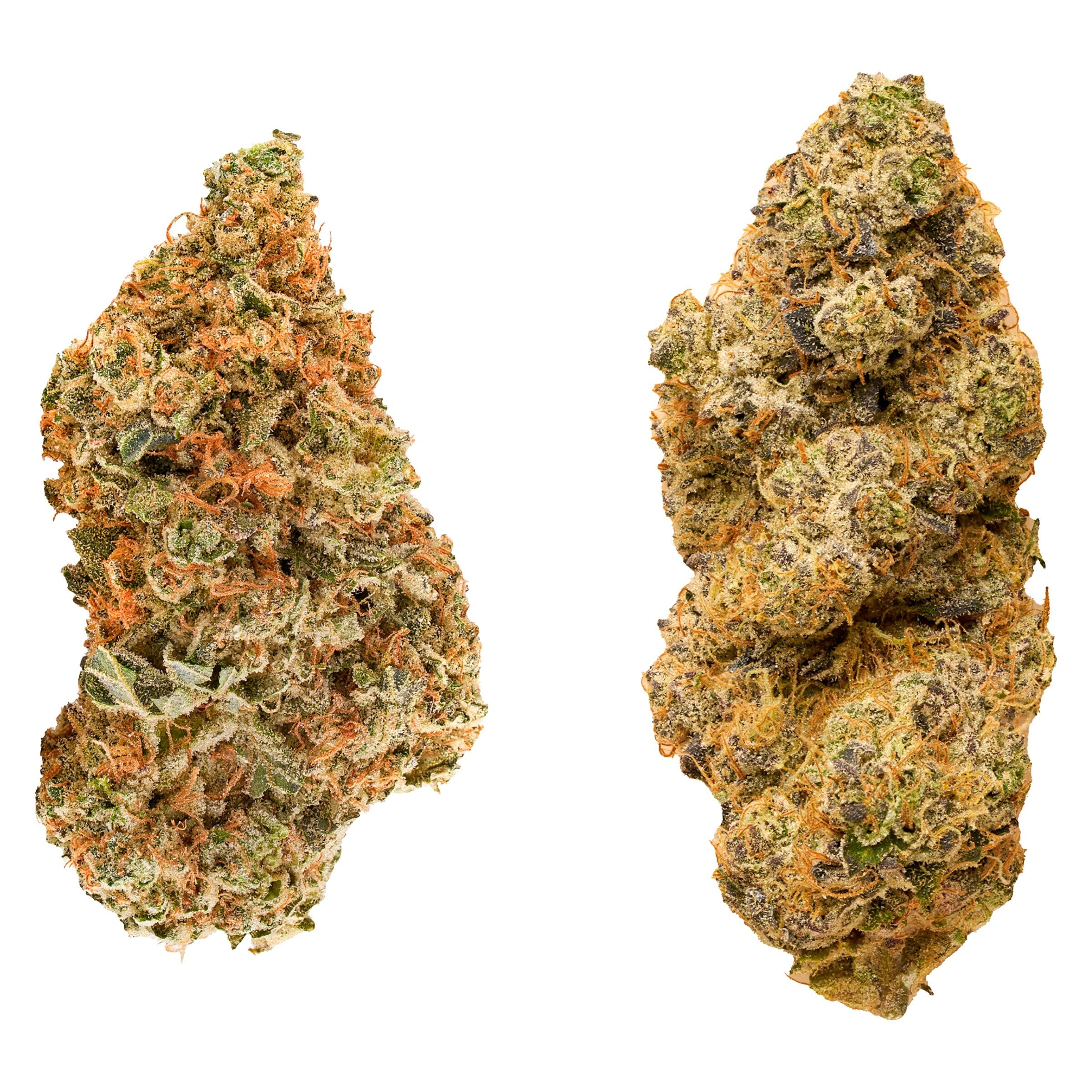 Taster Series Variety Pack 28g Dried Flower