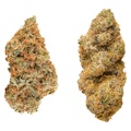 Taster Series Variety Pack 28g Dried Flower