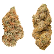 Taster Series Variety Pack 28g Dried Flower