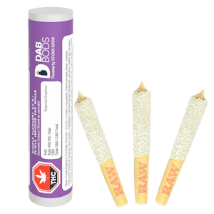 Dab Bods - Purple Elephant 50's+