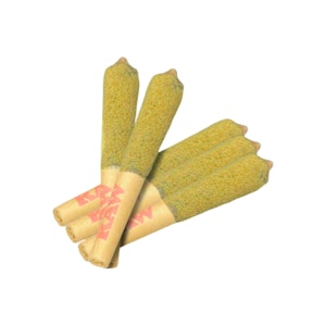 Dab Bods - Outsiders Atomic Orange