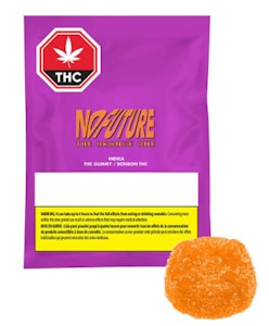 No Future - NO FUTURE - The Orange One Indica THC 1 x 10g Soft Chew
