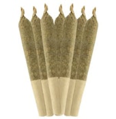 Dia De Los Muertos 7 x 0.5g