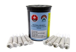 GAS PEDAL PRE-ROLLS - 5
