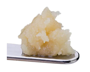 Sauce Rosin Labs - SEASONAL EXOTICS PACK LIVE ROSIN - 1G