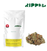 Ripped - Gorilla Zkittles 7g Dried Flower