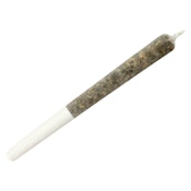 Dime Bag | Hazelnut Spread Pocket Rockets Hybrid | 1x0.5g Infused Pre-roll