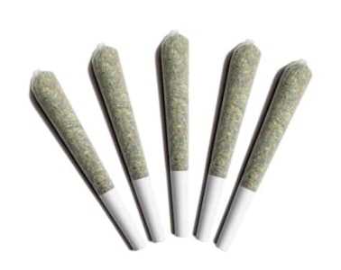 Gladstone - GLADSTONE GALACTIC GAS - 5 x 0.5g