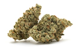 Bison Breath 7g - Encore