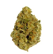 BLUE VELVET (PURPLE THAI X AFGHANI)
