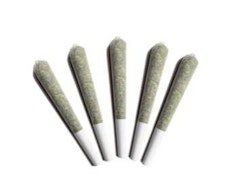 GUMBO POW | Gladstone 5x0.5g Pre-rolls | Rest