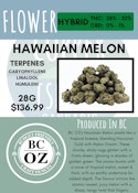 28G - BC OZ - HAWAIIAN MELON