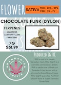 7G - HANNAH'S CHOICE - CHOCOLATE FUNK