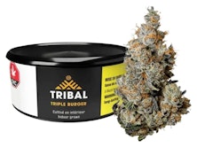 TRIBAL - TRIPLE BURGER 3.5g Dried Flower