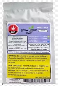 HomeGrow with Freedom - HOMEGROW with FREEDOM - Violator Kush Green Thai & Foundation Cake x Cherry Pie  (Feminized) 3 x 2 pack of Seeds