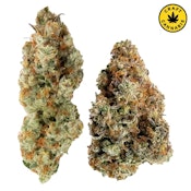 Yin Yang 14g | Sticky Glove & Chocolope OG