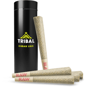 Cannara Biotech (Quebec) Inc. - Tribal PreRolls - Cuban Linx 5 x 0.6 g Pre-Rolls