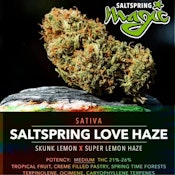 Saltspring Love Haze - 14g