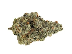 Praline Gelato (Black Domina x 92 OG x Acai Gelato) 3.5g Flower