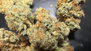 Gorilla Peanut Butter Breath 3.5g Dried Flower