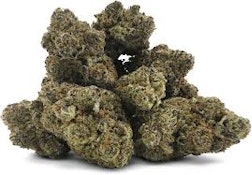 BC 1/2 0Z-MIDNIGHT TREAT FLOWER - 14G