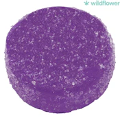 Wildflower | 5:5:1 Sweet Dreams Goji Berry CBN:CBD:THC Live Rosin Gummies | 5PC PROMO