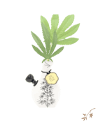 My Bud Vase | Love Bud
