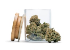 Hannah's Choice - Chocolate Funk (7g)