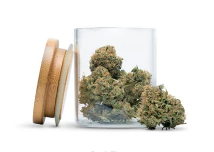 Hannah's Choice  - Hannah's Choice - Chocolate Funk (7g)