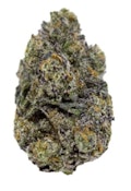 SIMPLE PLEASURES - Sativa (Space Cadillac) 14g