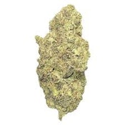 Black Mountain Morgue 3.5g Dried Flower