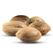 Golden Melons (Feminized) 5 pack of seeds