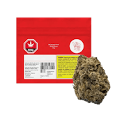 BC Purple Kush - Versus - 28