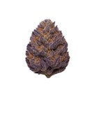 PAKISTANI KUSH - 7 GRAMS