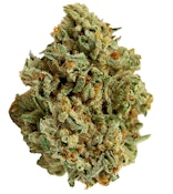 Mango Haze