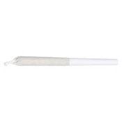 0.5g x 3 Pumpkin Spice - Good Supply